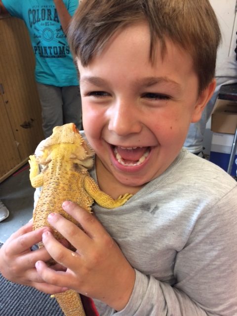 boy with gecko